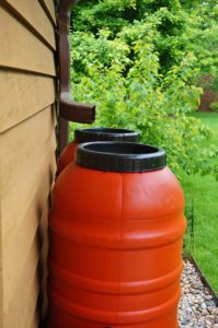 Rain barrels collecting water in the garden