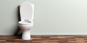 white toilet bowl on wooden floor