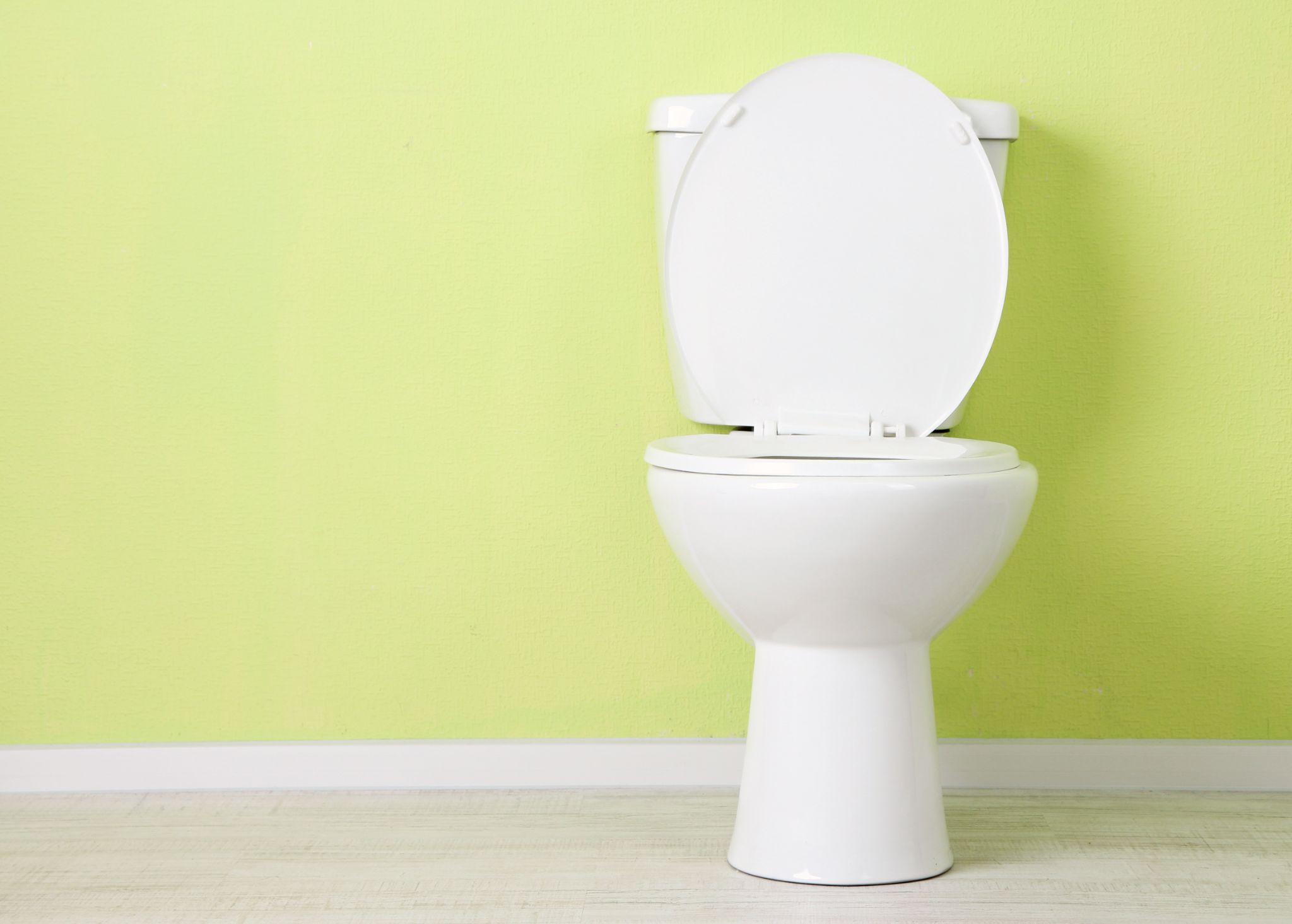 Clogged Toilet Repair in San Antonio, TX, by Will Fix It